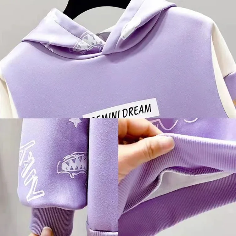 Cartoon Letter Print Colorblock Sweatshirt Hoodie