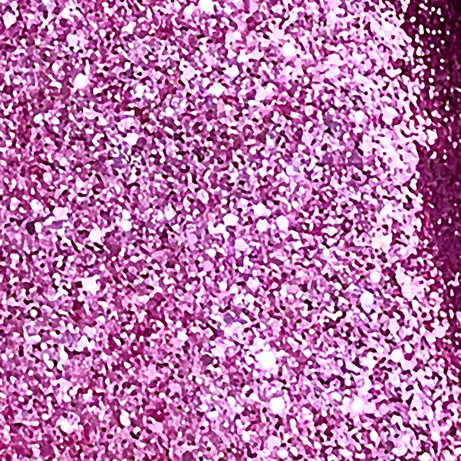 Ultimate Glitter Coat by Jivomir Domoustchiev